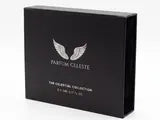 The closed Discovery Set box with the silver wings