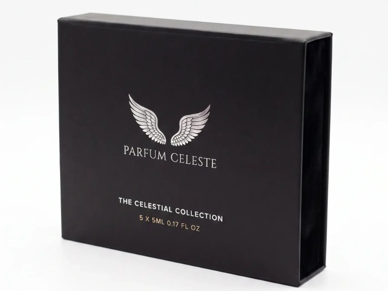 The closed Discovery Set box with the silver wings